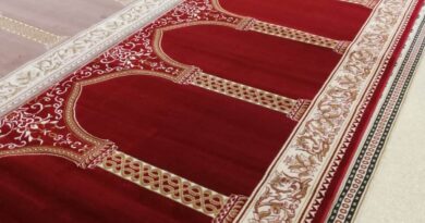 Choose the Best Carpet